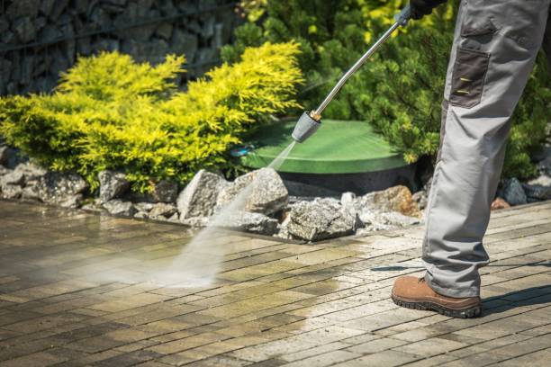 Best Soft Washing  in East Patchogue, NY